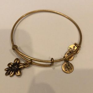 Alex and Ani Bracelet